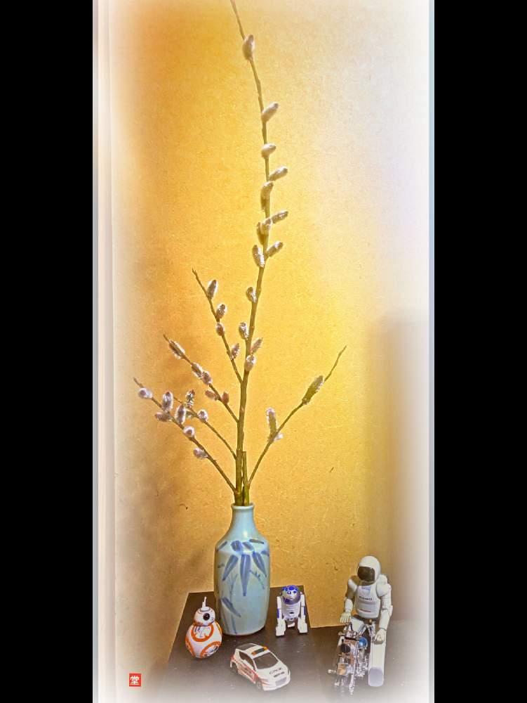 花のある暮らしの投稿画像 By Kazyanさん やなぎとねこやなぎとヤナギ 和堂 月2月19日 Greensnap グリーンスナップ