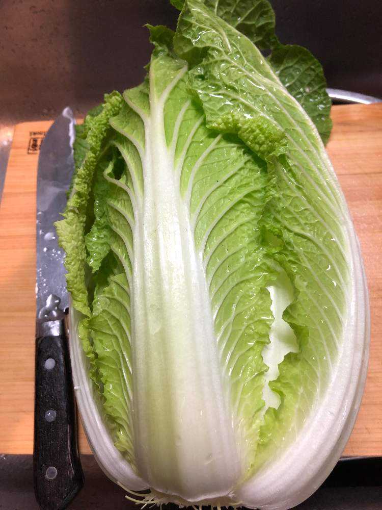 白菜栽培 4品種比べ Greensnap グリーンスナップ