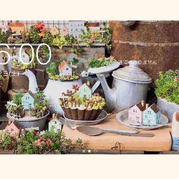 壁紙の投稿画像一覧 Greensnap グリーンスナップ