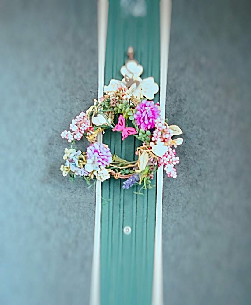 可愛い花の投稿画像 By ライドザブリーズさん みどり大好きと玄関アプローチとピンクと花のある暮らしとマンション 月2月24日 Greensnap グリーンスナップ