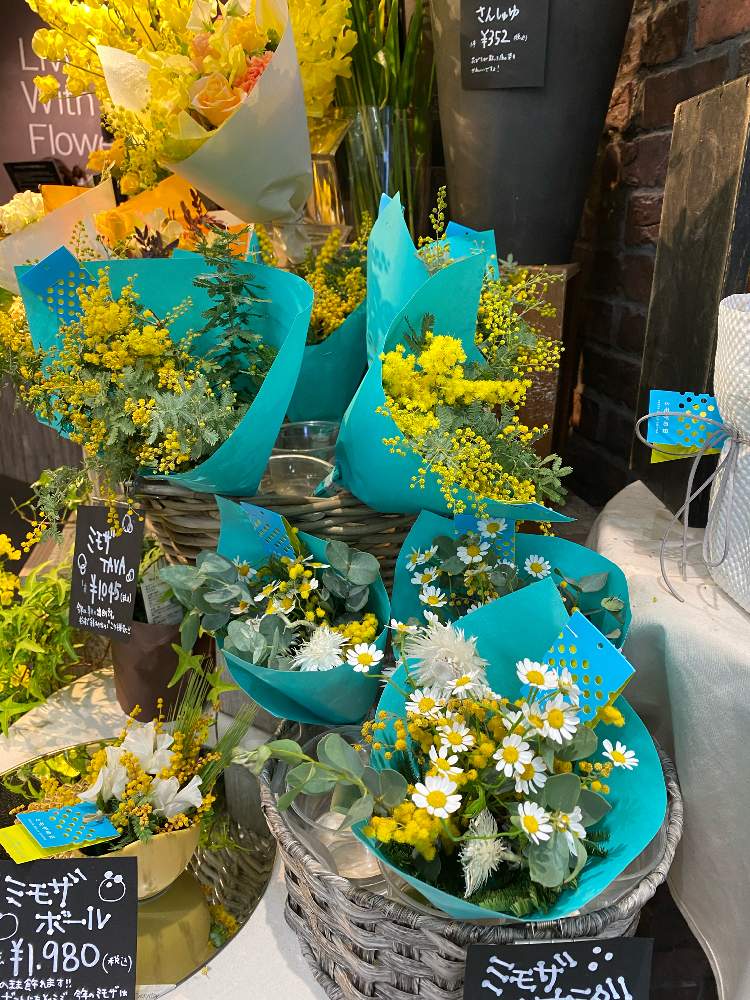 ミモザの花束 の投稿画像 By Nanairofさん 青山フラワーマーケット上大岡とお気に入りの園芸店とミモザの花と花のある暮らしとgs皆様ありがとうとgsの皆さまに感謝 月2月24日 Greensnap グリーンスナップ