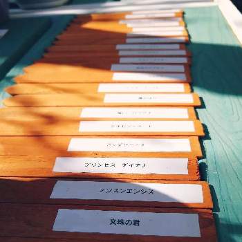 ネームプレートの投稿画像一覧 Greensnap グリーンスナップ