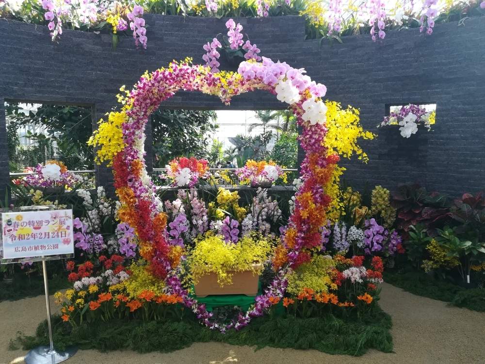 広島市植物公園の春の特別ラン展に行きました Greensnap グリーンスナップ