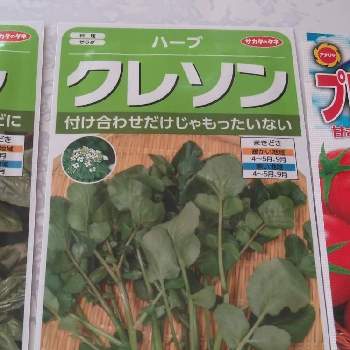クレソンの種の投稿画像一覧 Greensnap グリーンスナップ