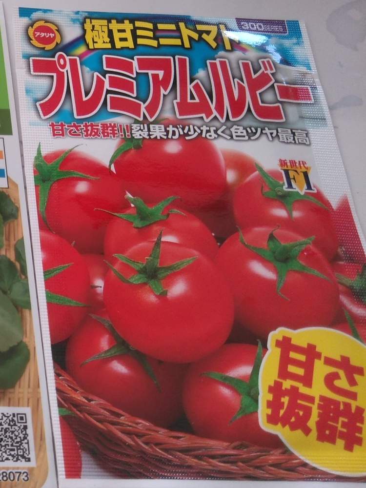 初めてのミニトマト栽培 １（6月17日（水）追記）｜🍀GreenSnap