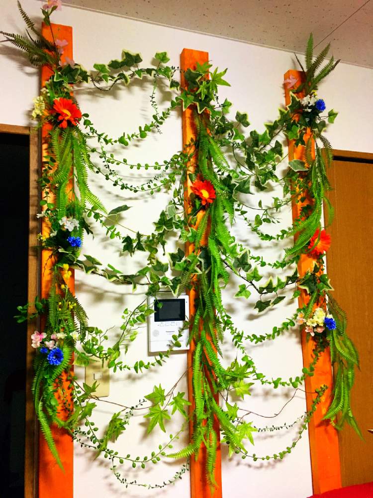 観葉植物の投稿画像 By Numaさん 100均とダイソーとお部屋に花をと趣味と花のある暮らし 月2月25日 Greensnap グリーンスナップ