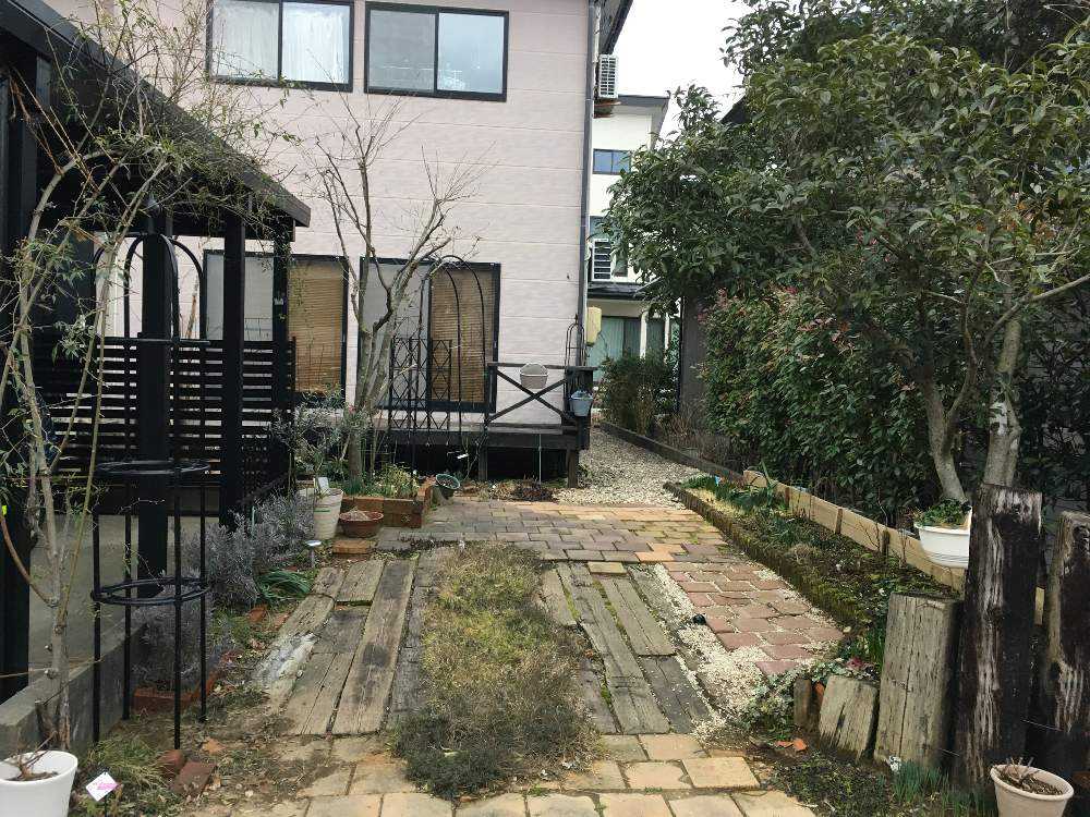 庭改造計画 その５ ようやく芽が伸び始める 春まであと少し Greensnap グリーンスナップ