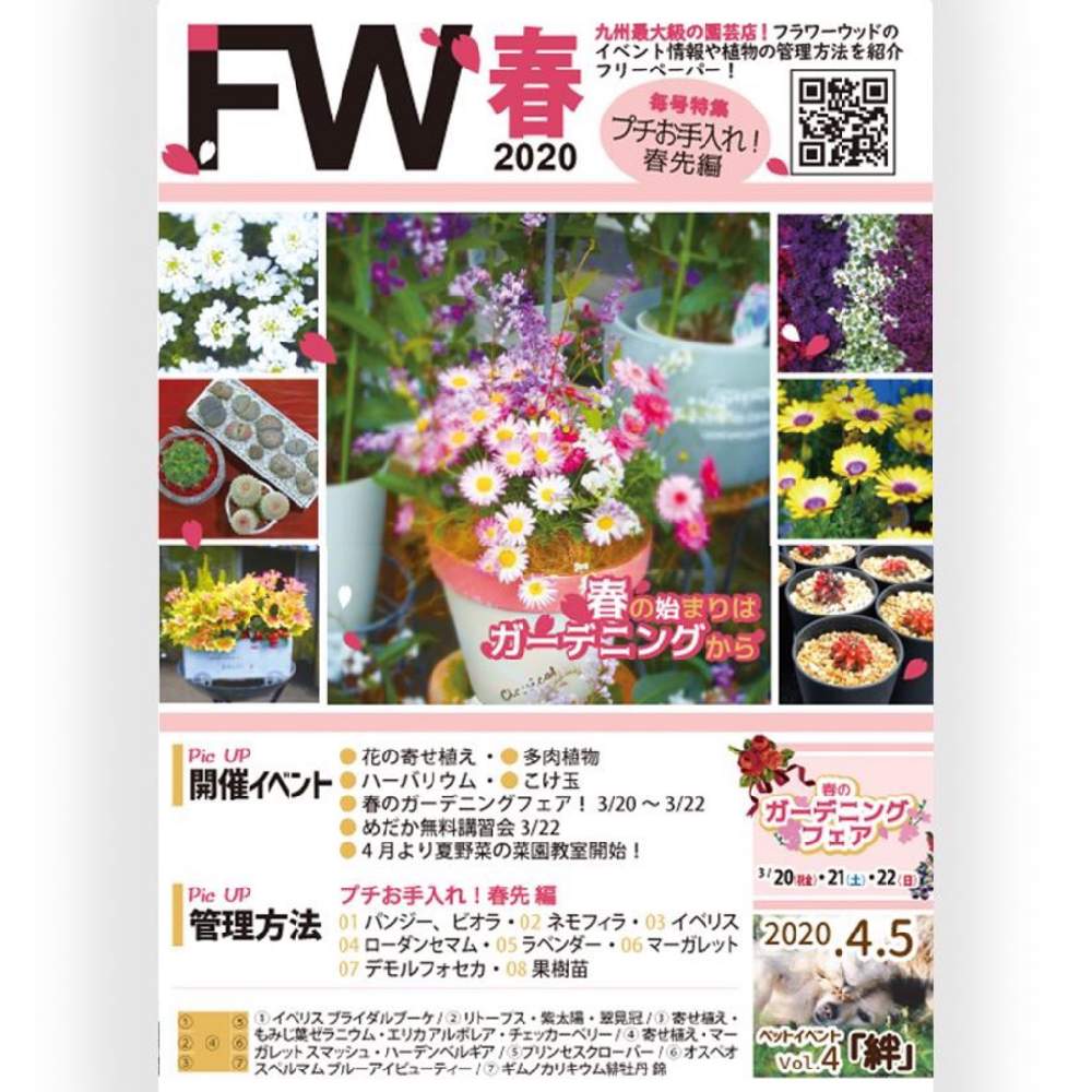 お出かけ先の投稿画像 By フラワーウッドさん 寄せ植え教室と多肉植物とガーデン雑貨と観葉植物と寄せ植えとフラワーウッドと花壇とガーデニング ショップと希少種とgs映えとgs日和と佐賀県と多肉女子とタニラーと雑貨とガーデニングと花のある暮らしとお庭と多肉狩りと