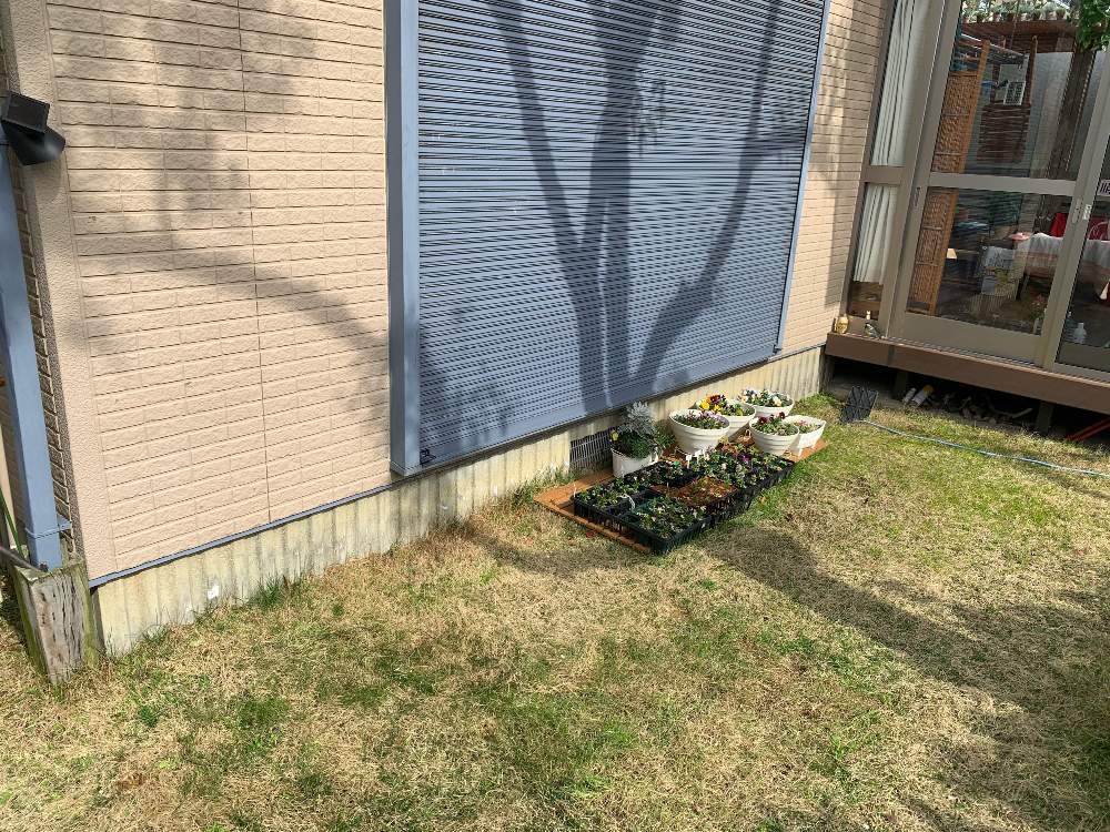 我が家の芝生エリアに花壇を 7 更新 Greensnap グリーンスナップ