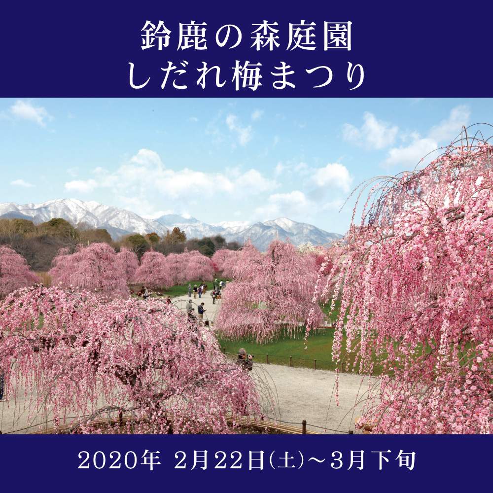 鈴鹿 の 森 庭園 しだれ 梅