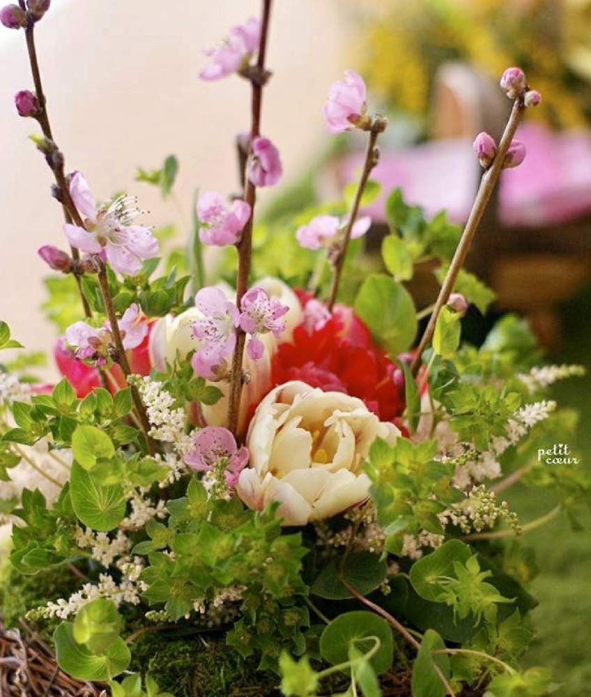 部屋の投稿画像 By Petitcoeur4さん 春のお花とフラワーレッスンとピンクの花とひなまつりと横浜と季節の花と チューリップとピンクとフラワーアレンジメントとフラワーパワーと花のある暮らしと春のお花とフラワーレッスンとピンクの花とひなまつりと横浜と季節の花と