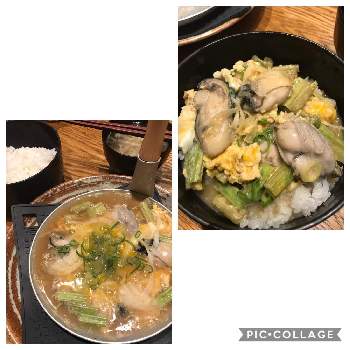 若牛蒡入り牡蠣玉丼3 2賄いの投稿画像一覧 Greensnap グリーンスナップ