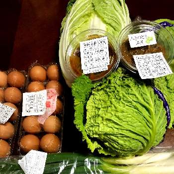 えぼし市の画像 by 世津ちゃんさん | えぼし市とキャベツ二個とふきのとうみそと長ねぎと白菜。と卵パックとふきみそ