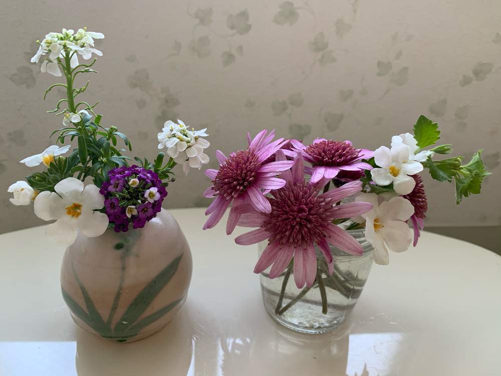 花のある暮らしの投稿画像 By なみりんさん おうちで飾るお花 月3月8日 Greensnap グリーンスナップ