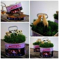 サギナ,観葉植物,再利用,空き缶,多肉とフィギュアの画像