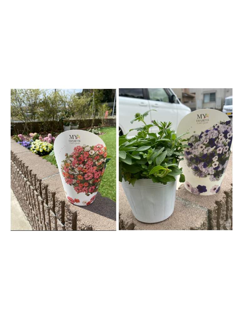 Pw コンボシリーズ Greensnap グリーンスナップ