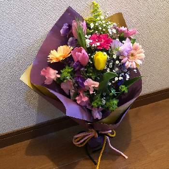 卒業の花束の投稿画像一覧 Greensnap グリーンスナップ