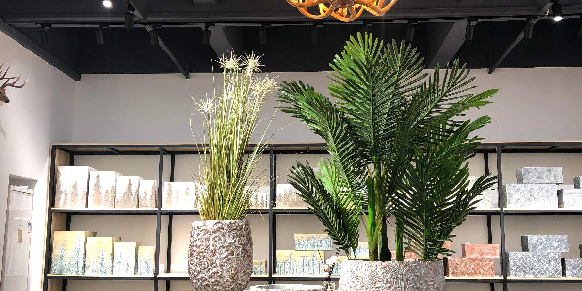 花リンクスのアルバム Greensnap グリーンスナップ 花リンクスのアルバム Greensnap グリーンスナップ