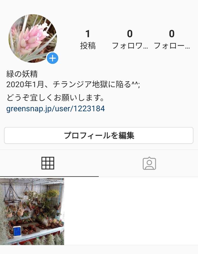 Instagramの投稿画像 By 緑の妖精 Green Fairy さん インスタグラムと インスタ 月3月21日 Greensnap グリーンスナップ