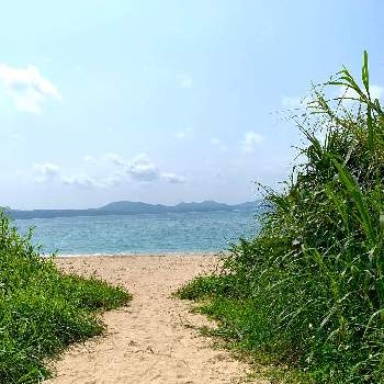 沖縄の海景色の投稿画像一覧 Greensnap グリーンスナップ