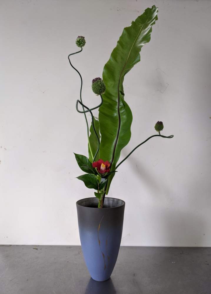 アリアム 踊る丹頂の投稿画像 By 木染 奎さん 生花新風体とアビス タニワタリと池坊と椿 ツバキと生花 しょうか と切り花と生け花と三種生けとお出かけ先とアリアム 踊る丹頂と生花新風体とアビス タニワタリと池坊と椿 ツバキと生花 しょうか と切り花と生け花と三種