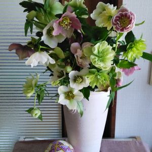 クリスマスローズ,松本手鞠A,松本手鞠．,手作り, クリスマスローズの画像