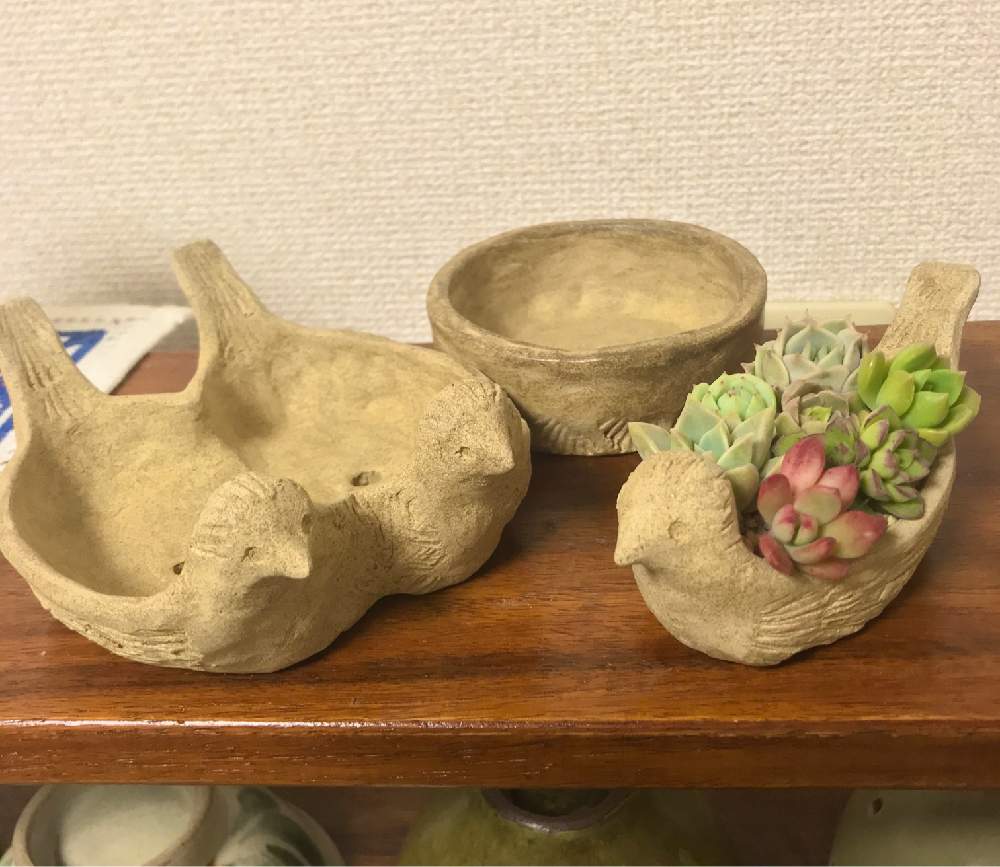 多肉植物の投稿画像 By Ponikさん 手作り鉢と寄せ植えとヤコのオーブン粘土と多肉植物寄せ植えと植中毒とタニラーとベランダーとタニク初心者とバルコニスト 月3月27日 Greensnap グリーンスナップ