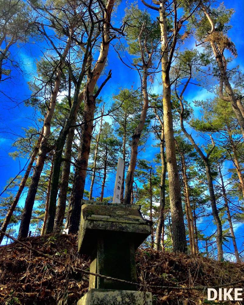 青空の投稿画像 By 日曜大工さん 赤松林と里山大好き協会と妄想倶楽部 月3月28日 Greensnap グリーンスナップ