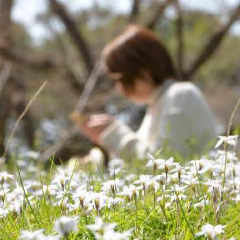 岡山市半田山植物園の投稿画像一覧 Greensnap グリーンスナップ
