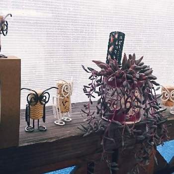 コルク人形の画像 by パパさん | 多肉植物と福岡とコルク人形と幸せを呼ぶフクロウ祭りと工作とパパのテリトリー❗とフクロウ祭と癒される！