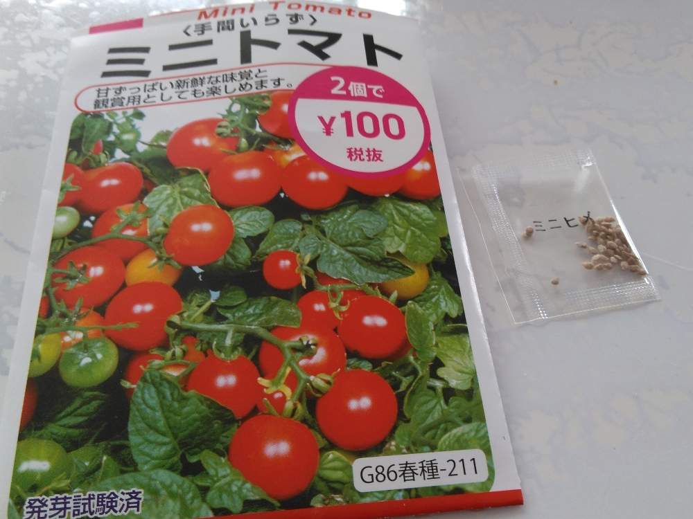 初めてのミニトマト栽培 １ 6月17日 水 追記 Greensnap グリーンスナップ
