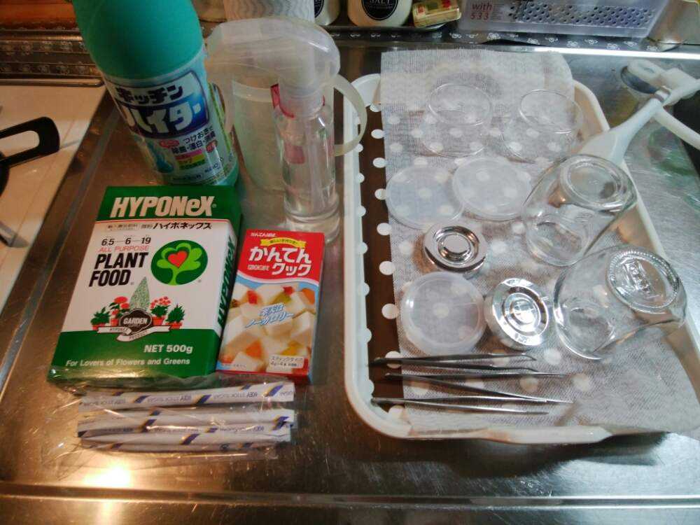 ヴィトロプランツ