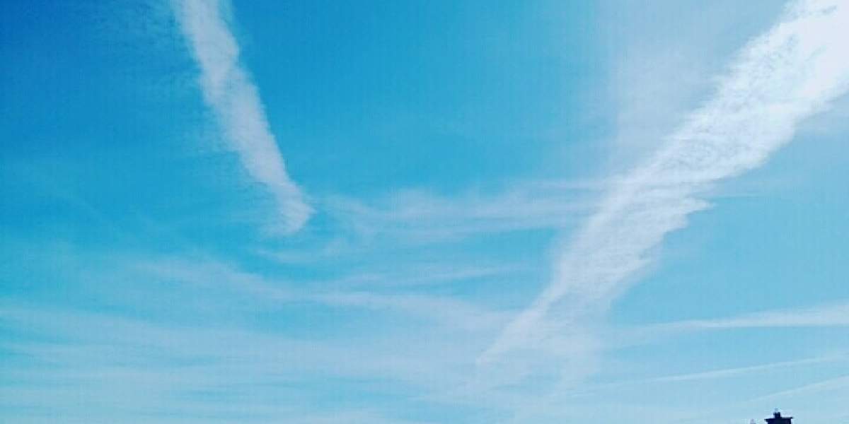 ゆきりんごのアルバム Greensnap グリーンスナップ