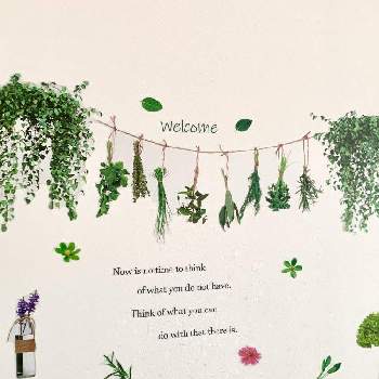 ウォールステッカーの投稿画像一覧 Greensnap グリーンスナップ