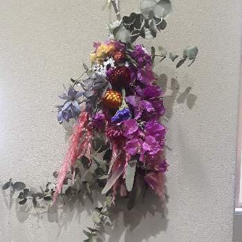花アートの投稿画像一覧 Greensnap グリーンスナップ 花アートの投稿画像一覧 Greensnap グリーンスナップ