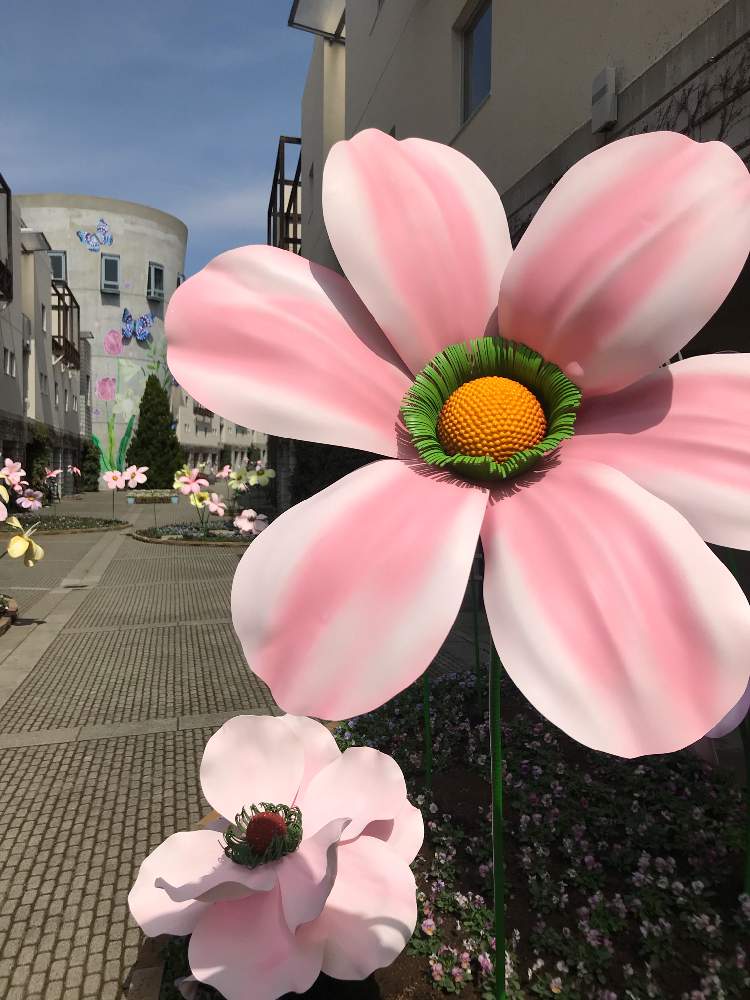 花咲く八ヶ岳 Greensnap グリーンスナップ 花咲く八ヶ岳 Greensnap グリーンスナップ