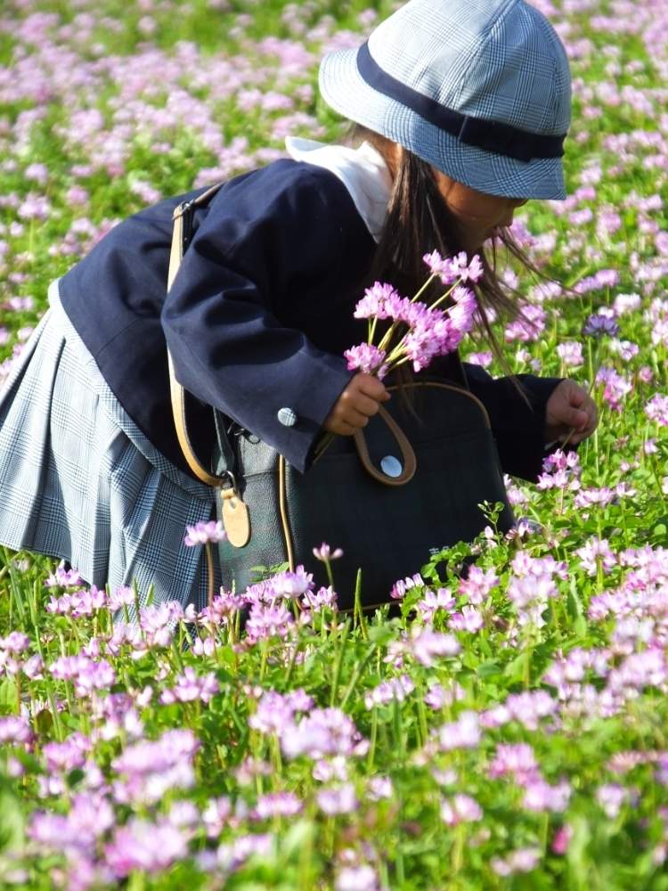 レンゲソウの投稿画像 By さん みどりのある暮らしとピンクの花と和風ティストと田んぼの風景とはるが来た と花のある暮らし 月4月5日 Greensnap グリーンスナップ
