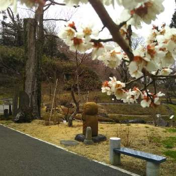 お地蔵様の投稿画像一覧 Greensnap グリーンスナップ