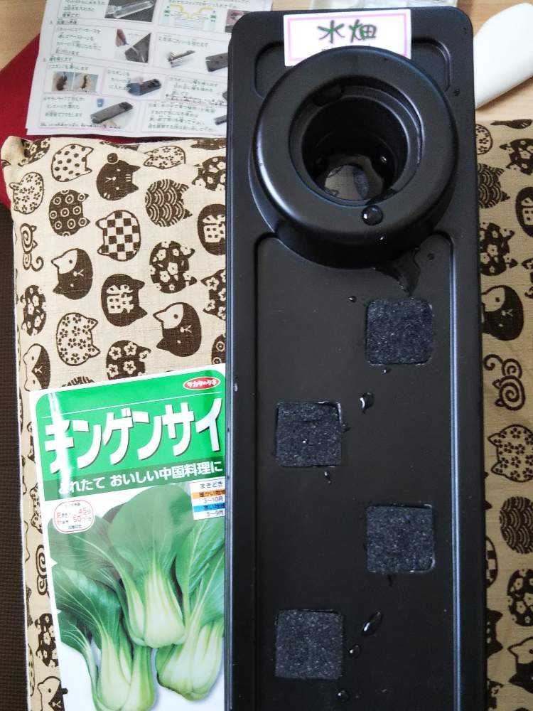 完 水耕栽培 チンゲン菜編 Greensnap グリーンスナップ