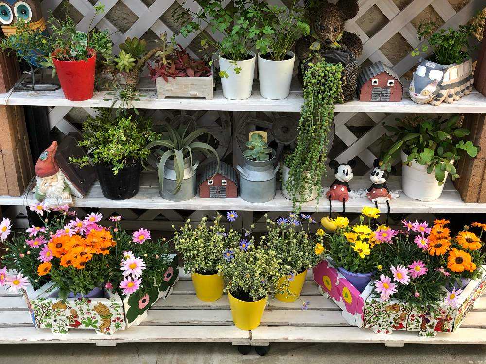 三角鉢をいろんな飾り方でで楽しもう Greensnap グリーンスナップ