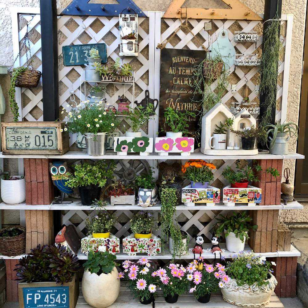 三角鉢をいろんな飾り方でで楽しもう Greensnap グリーンスナップ