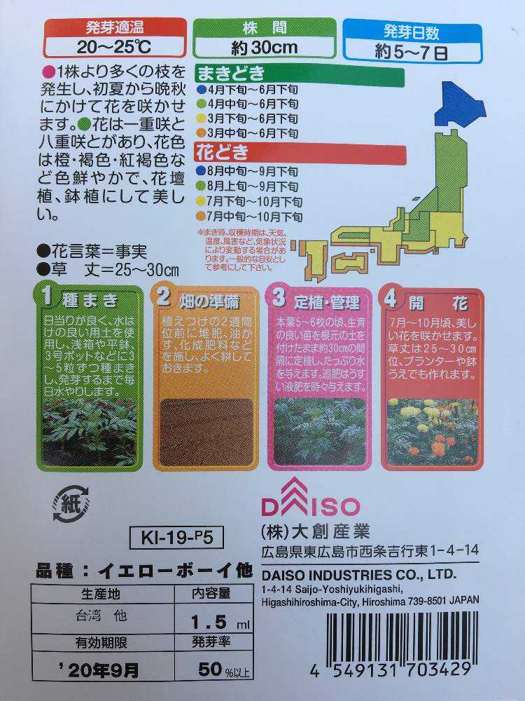 種からマリーゴールド Greensnap グリーンスナップ 種からマリーゴールド Greensnap グリーンスナップ