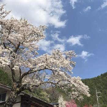 にほんの里100選の投稿画像一覧 Greensnap グリーンスナップ