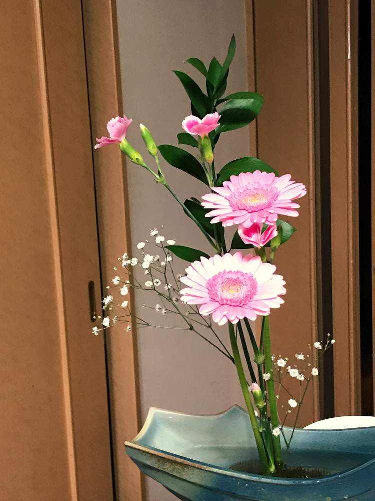 カーネーションの投稿画像 By たーこさん ガーベラとかすみそうと花姿といいかたちの花と花だいすきと暮らしと植物といけばなといい色 月4月9日 Greensnap グリーンスナップ カーネーションの投稿画像 By たーこさん ガーベラとかすみそうと花姿といいかたちの花と花だいすきと暮らしと植物といけばなといい色 月4月9日 Greensnap グリーンスナップ