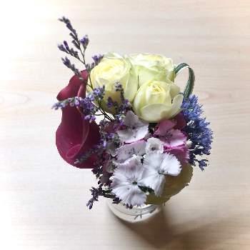 各 遊具 へこみ アリウムの花束を ナデシコ Anela Ashiya Jp