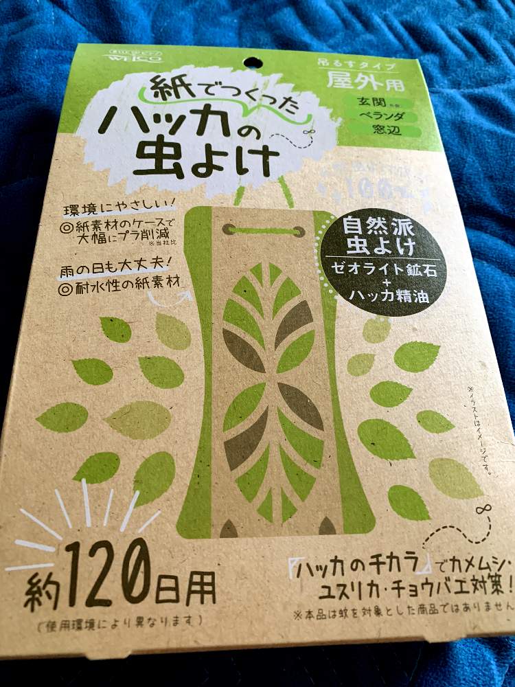 起こる 注入する 多くの危険がある状況 サボテン ハッカ 虫除け Donato Jp