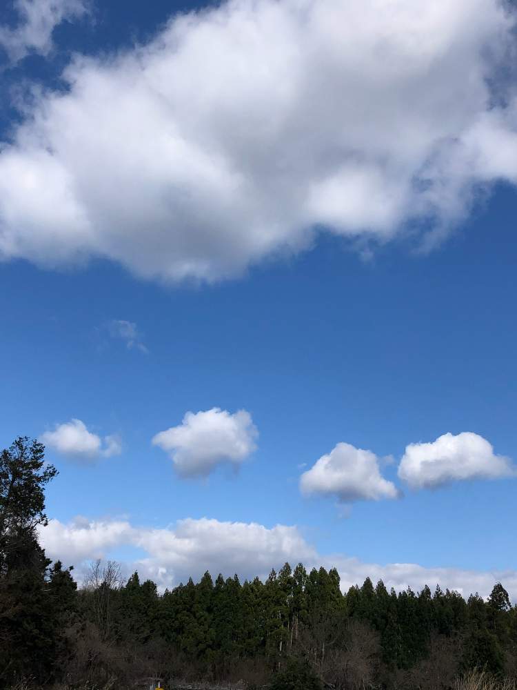 お出かけ先の投稿画像 By 空さん 空と雲とみどりと雲と空と空と雲と青い空と白い雲と空と雲とみどりと雲と空と空と雲と青い空と白い雲 月4月11日 Greensnap グリーンスナップ Greensnap グリーンスナップ お出かけ先の投稿画像 By 空さん 空と雲とみどりと雲と空と空と雲と青い空と白い雲と空と雲とみどりと雲と空と空と雲と青い空と白い雲 月4月11日 Greensnap グリーンスナップ Greensnap グリーンスナップ