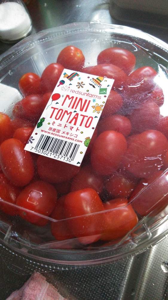 スーパーのミニトマトの種からの栽培記録 １ Sdgs 5月13日 水 追記 Greensnap グリーンスナップ