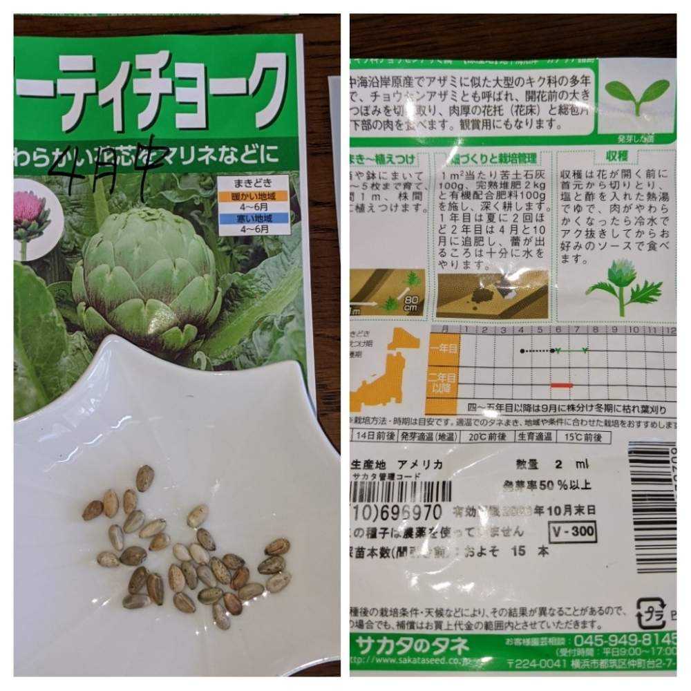 桜の散る頃の種蒔き第二弾 Greensnap グリーンスナップ