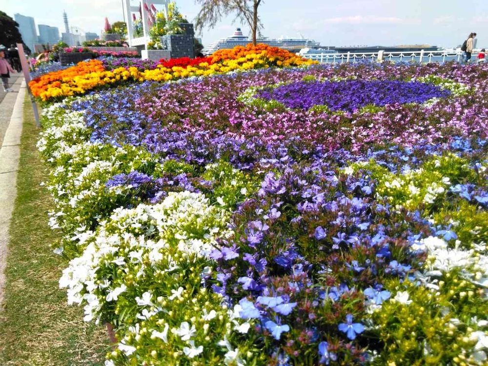 【公式】ガーデンネックレス横浜さんの山下公園への投稿